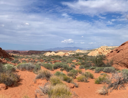 West Coast USA: una settimana on the road